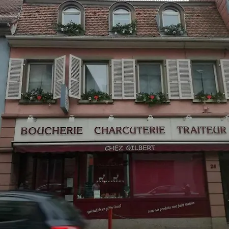 Apartment Cote Famille, En Duplex En Plein Coeur De Munster *
