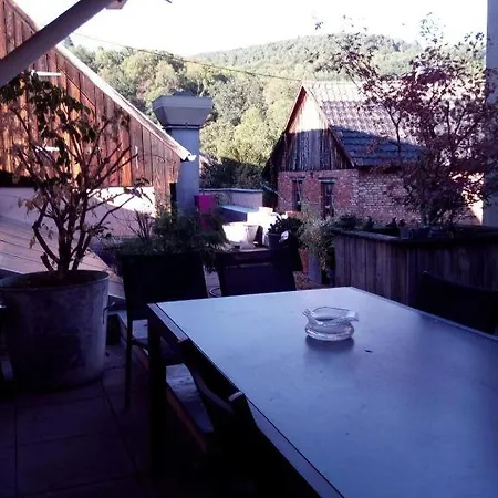 Cote Famille, En Duplex En Plein Coeur De * Munster (Haut-Rhin)
