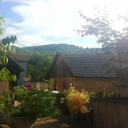 Cote Famille, En Duplex En Plein Coeur De Munster * Munster (Haut-Rhin)